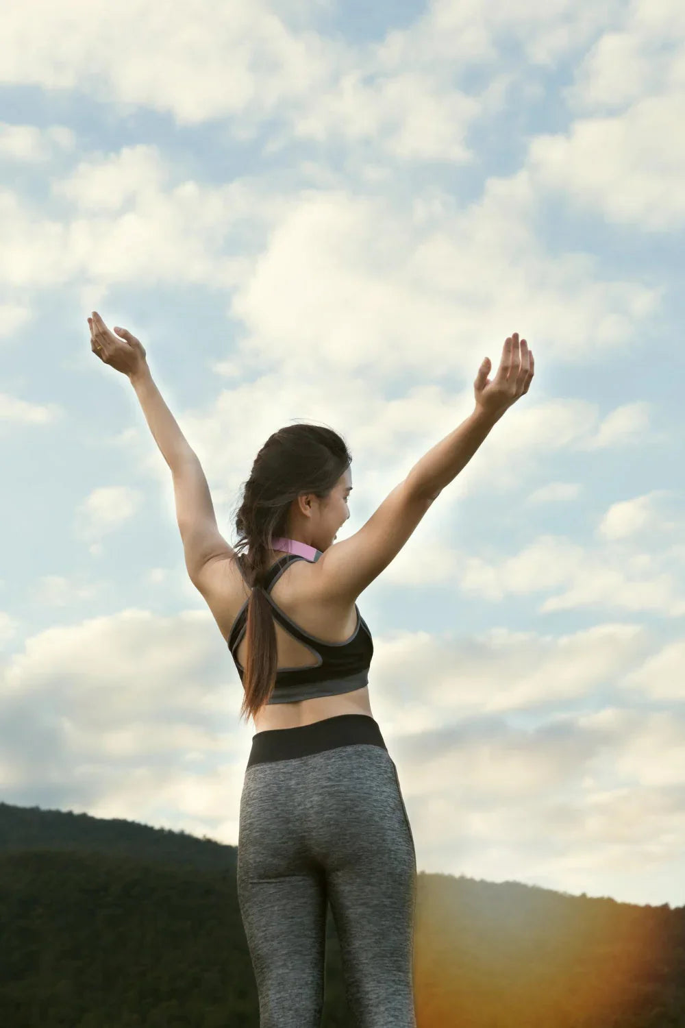Turkey Tail | Cauda de Peru