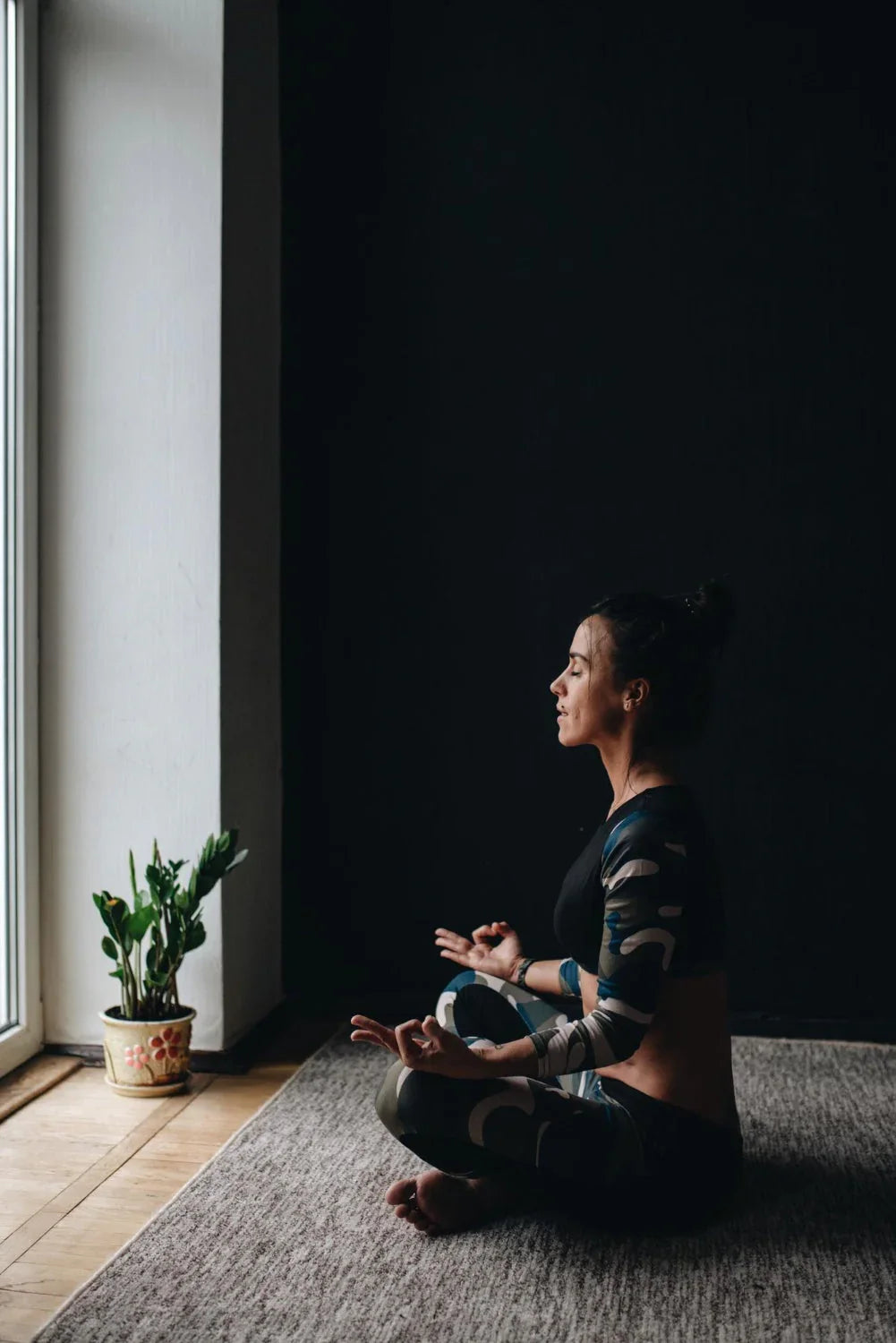 Reishi, Chaga, Maitake, Tremella