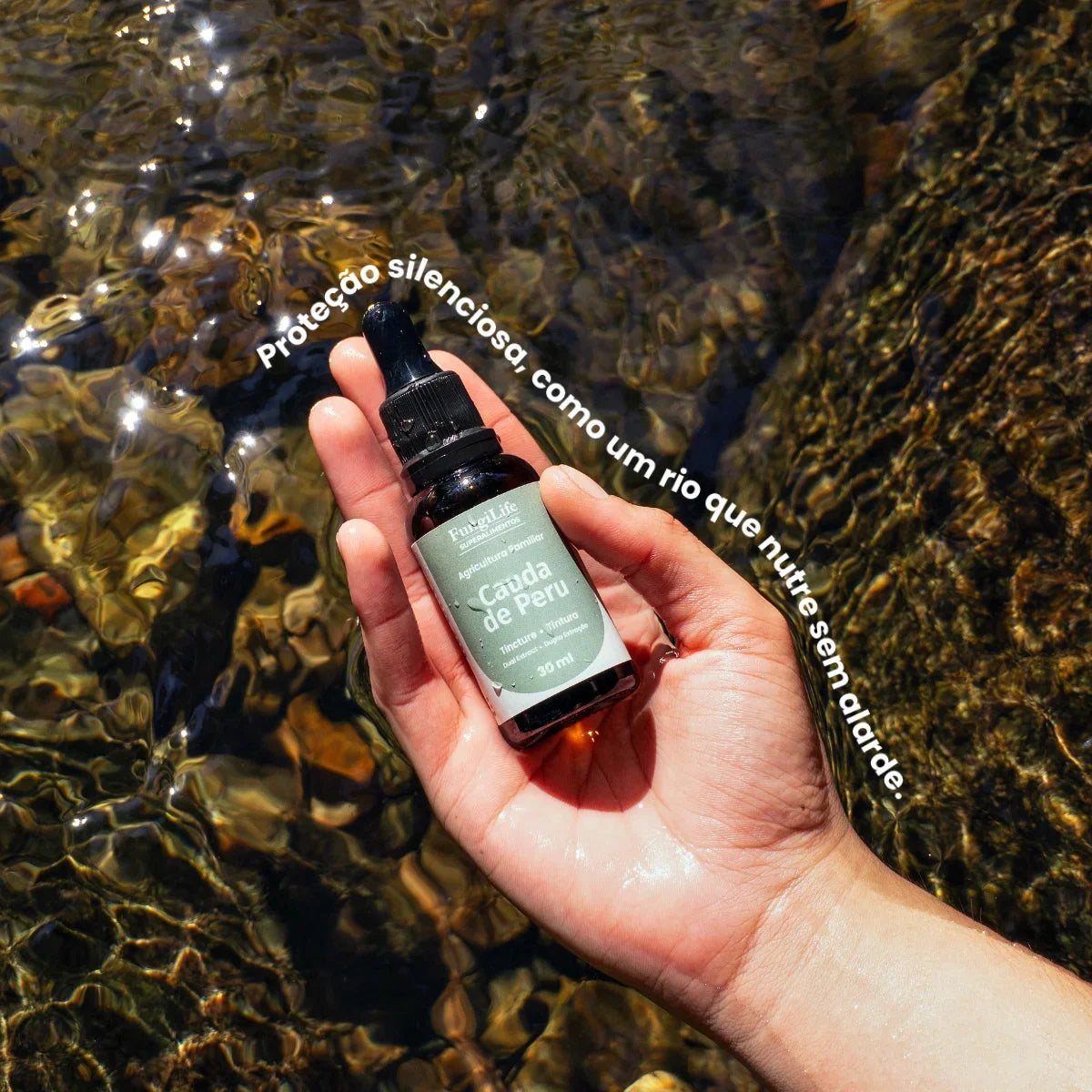 Cogumelo Cauda de Peru | Extrato Líquido 30ml