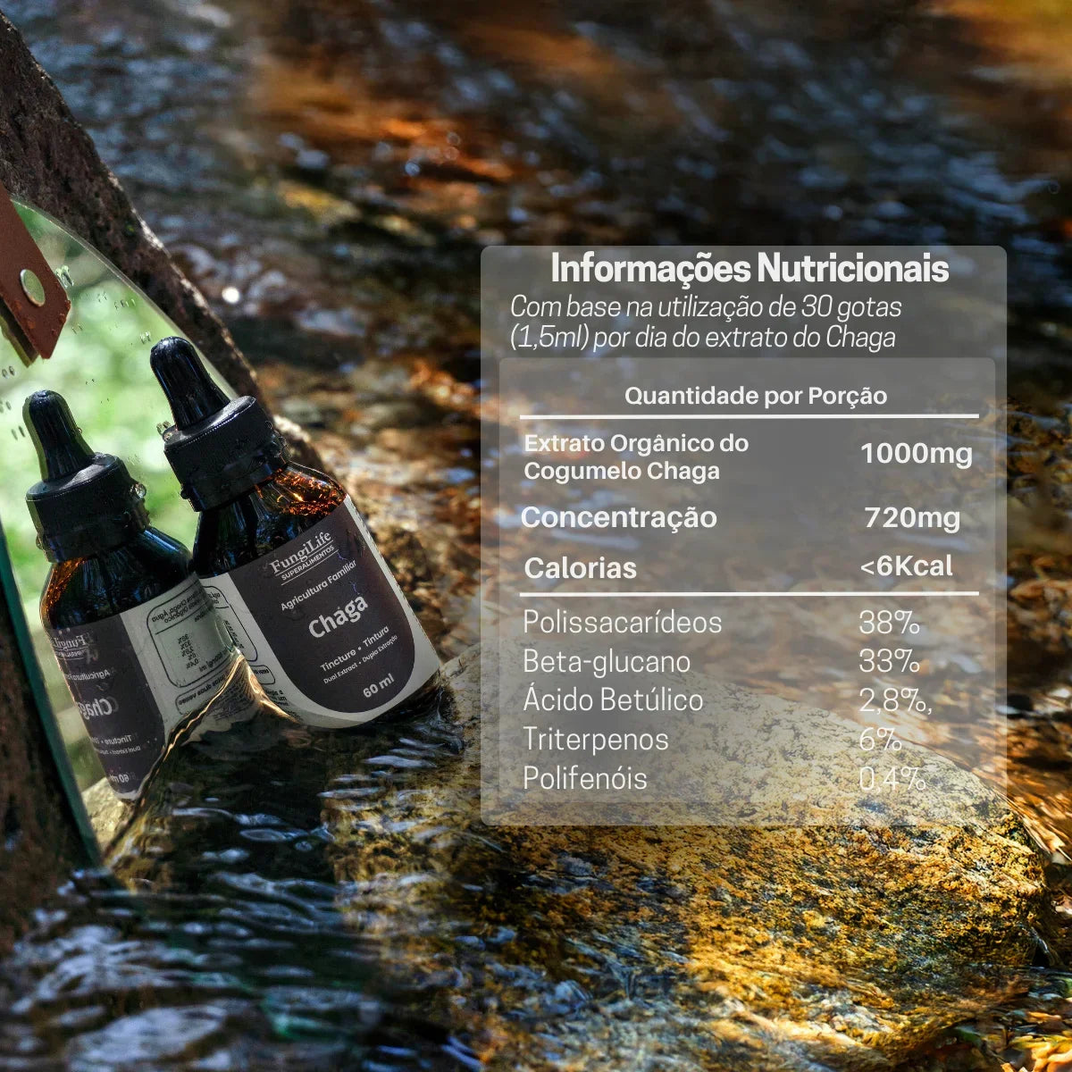 Cogumelo Chaga | Extrato Líquido 60ml