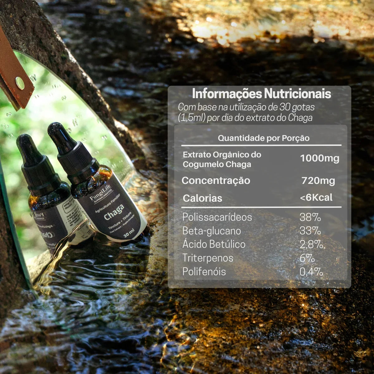 Cogumelo Chaga | Extrato Líquido 30ml