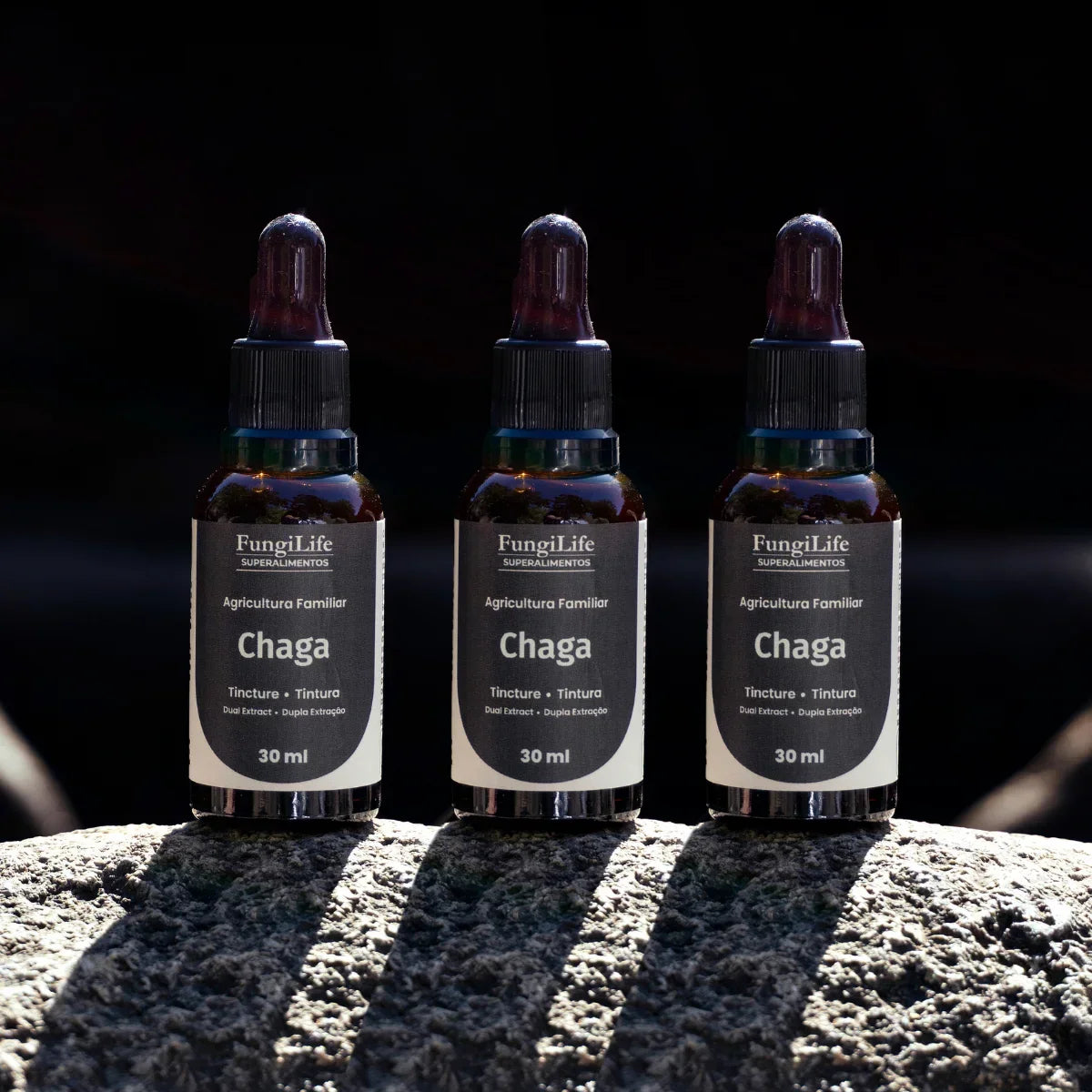 Cogumelo Chaga | Extrato Líquido 30ml