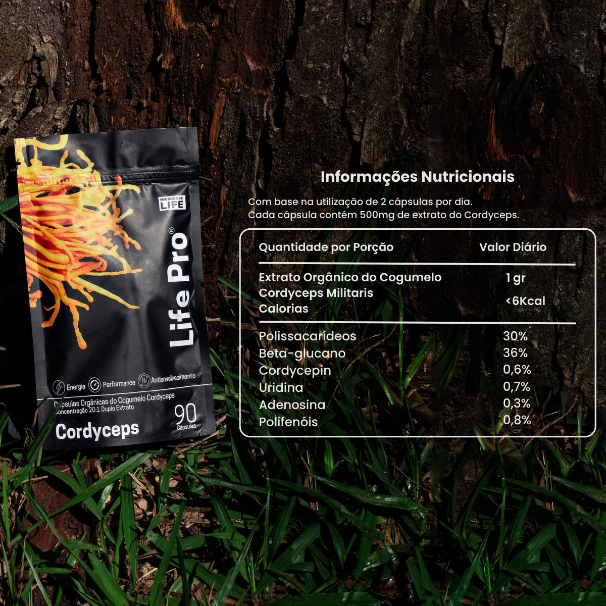 Cogumelo Cordyceps Militaris | Extrato Encapsulado 90 caps