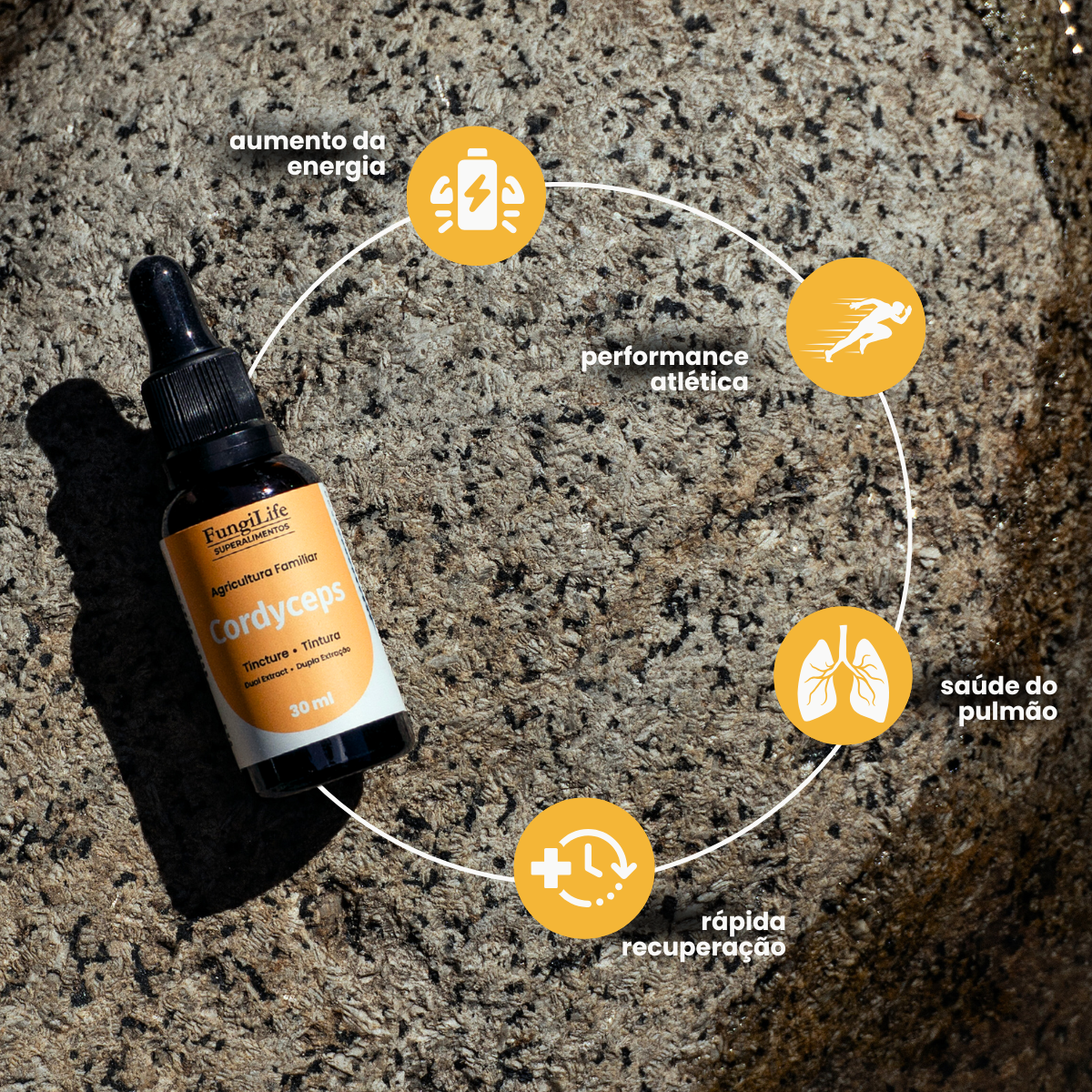 Cogumelo Cordyceps Militaris | Extrato Líquido 30ml