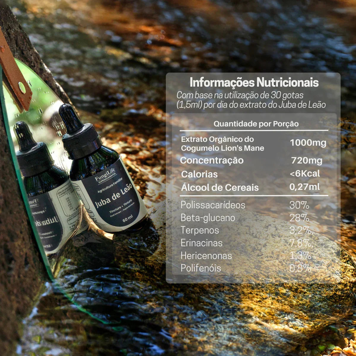 Kit Foco, Energia e Equilíbrio | Juba de Leão + Cordyceps + Reishi | Extrato Líquido 60ml