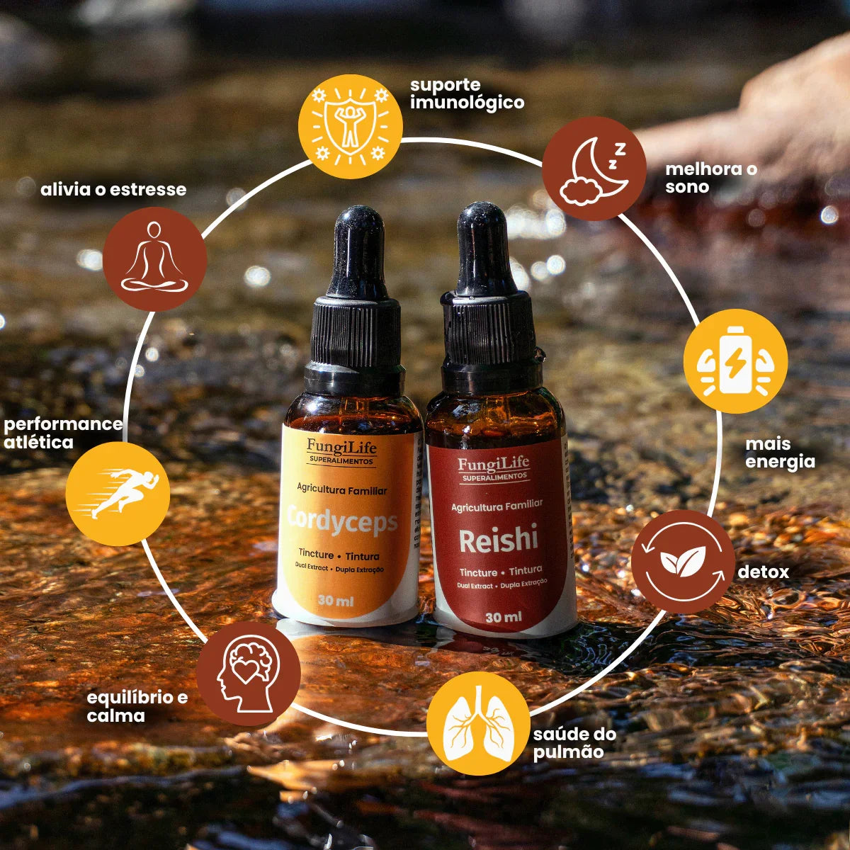 Kit Energia e Equilibrio | Cordyceps + Reishi | Extrato Líquido 30ml
