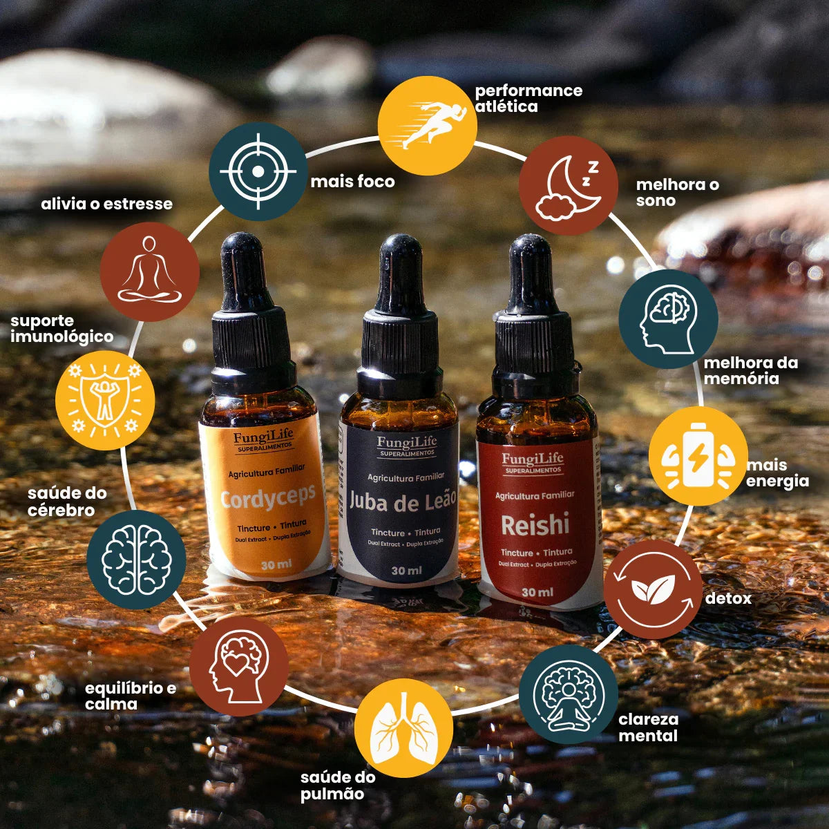 Kit Foco, Energia e Equilíbrio | Juba de Leão + Cordyceps + Reishi | Extrato Líquido 30ml