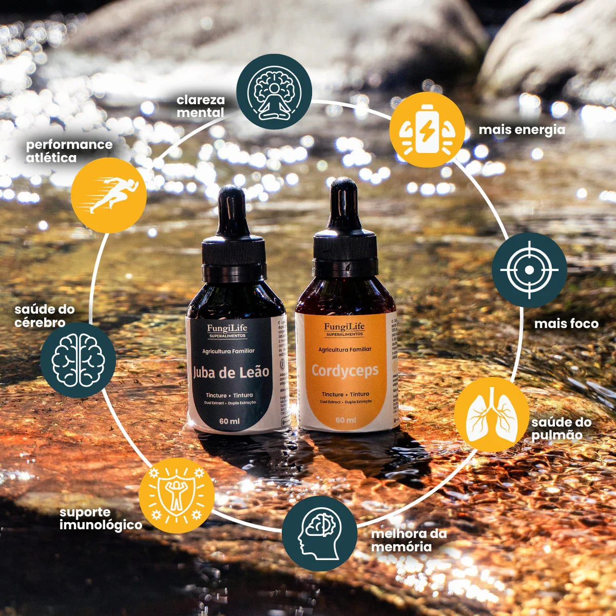 Kit Foco e Energia Lion's Mane + Cordyceps Militaris | Extrato Líquido 60ml