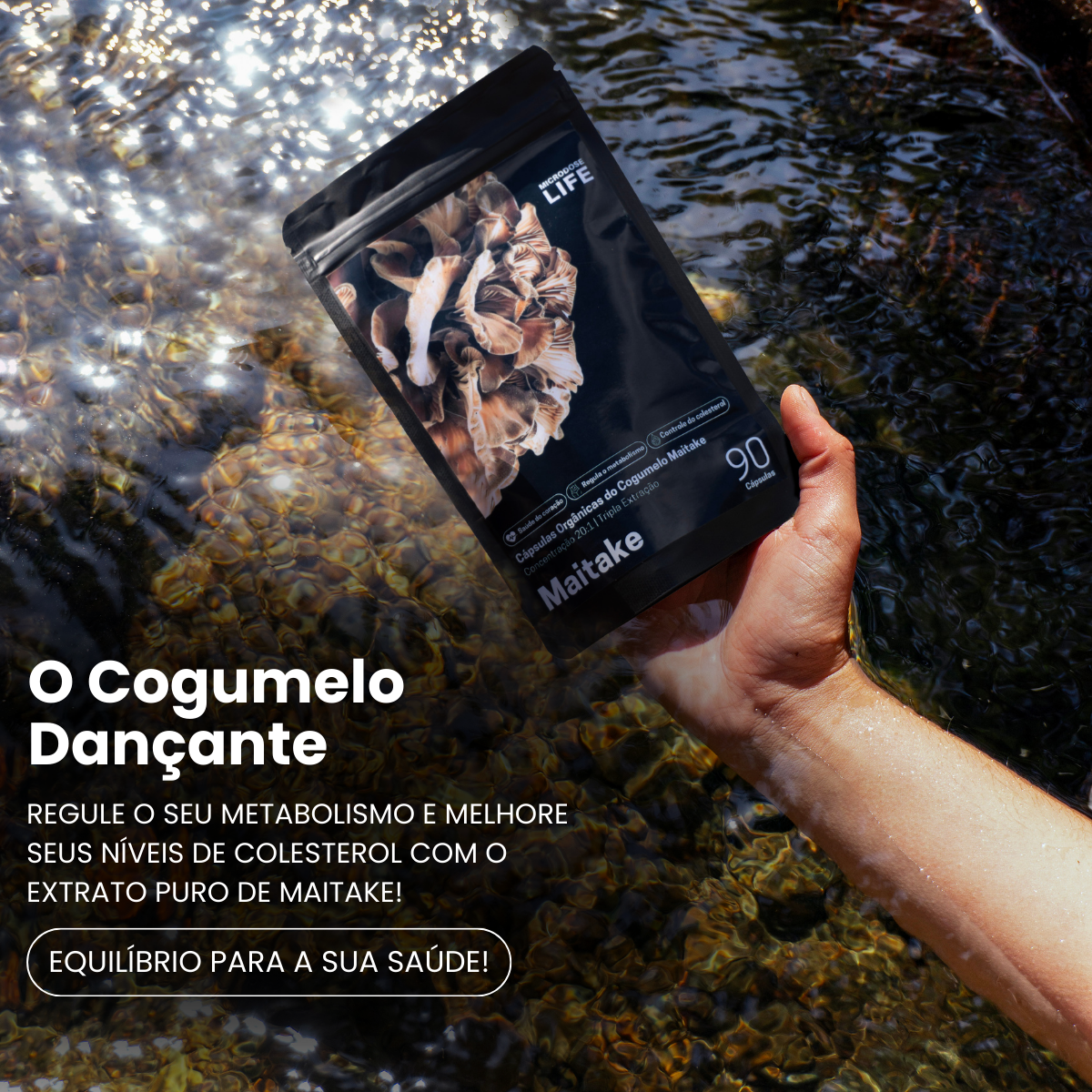 Cogumelo Maitake | Extrato Encapsulado 90 caps