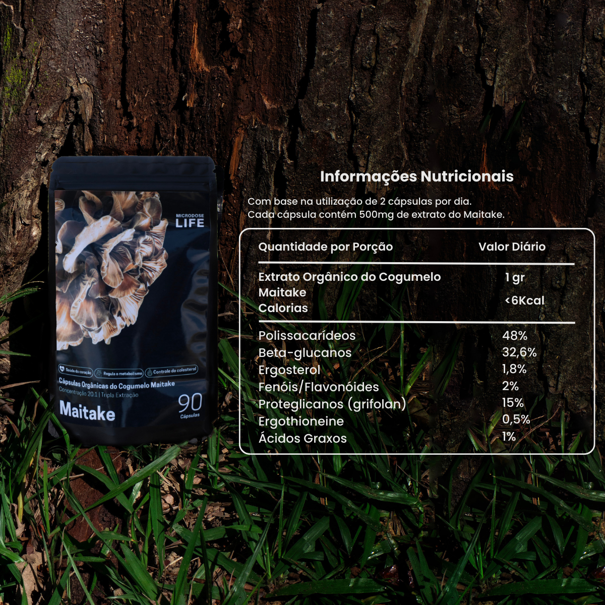 Cogumelo Maitake | Extrato Encapsulado 90 caps