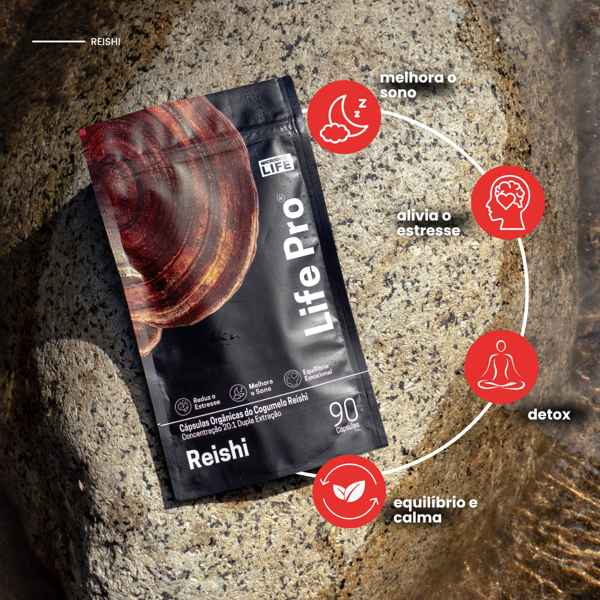Cogumelo Reishi | Extrato Encapsulado 90 caps