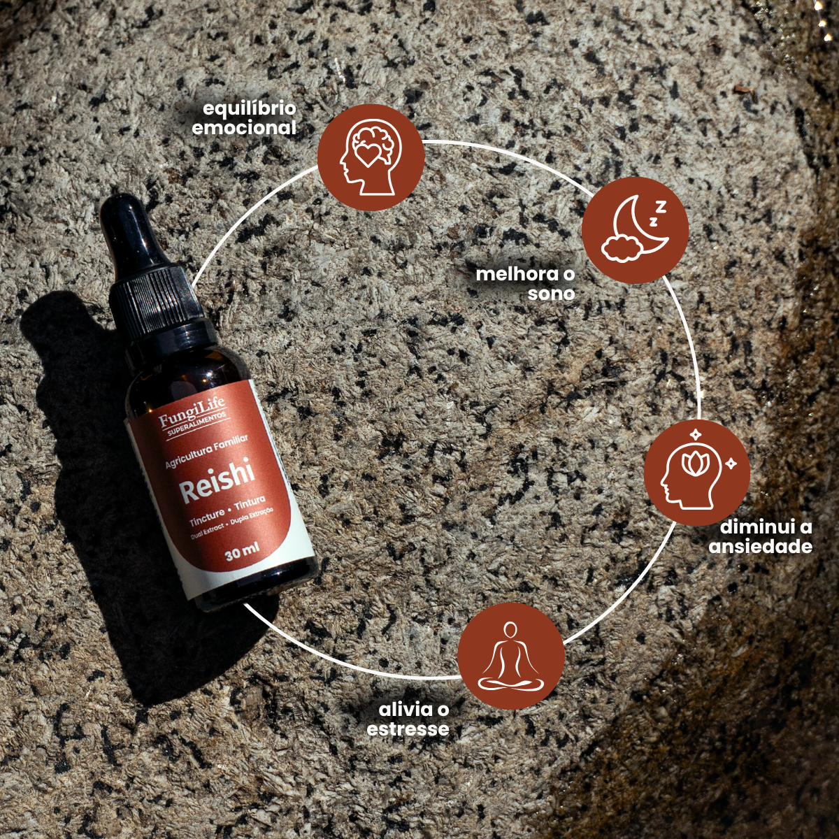 Cogumelo Reishi | Extrato Líquido 30ml