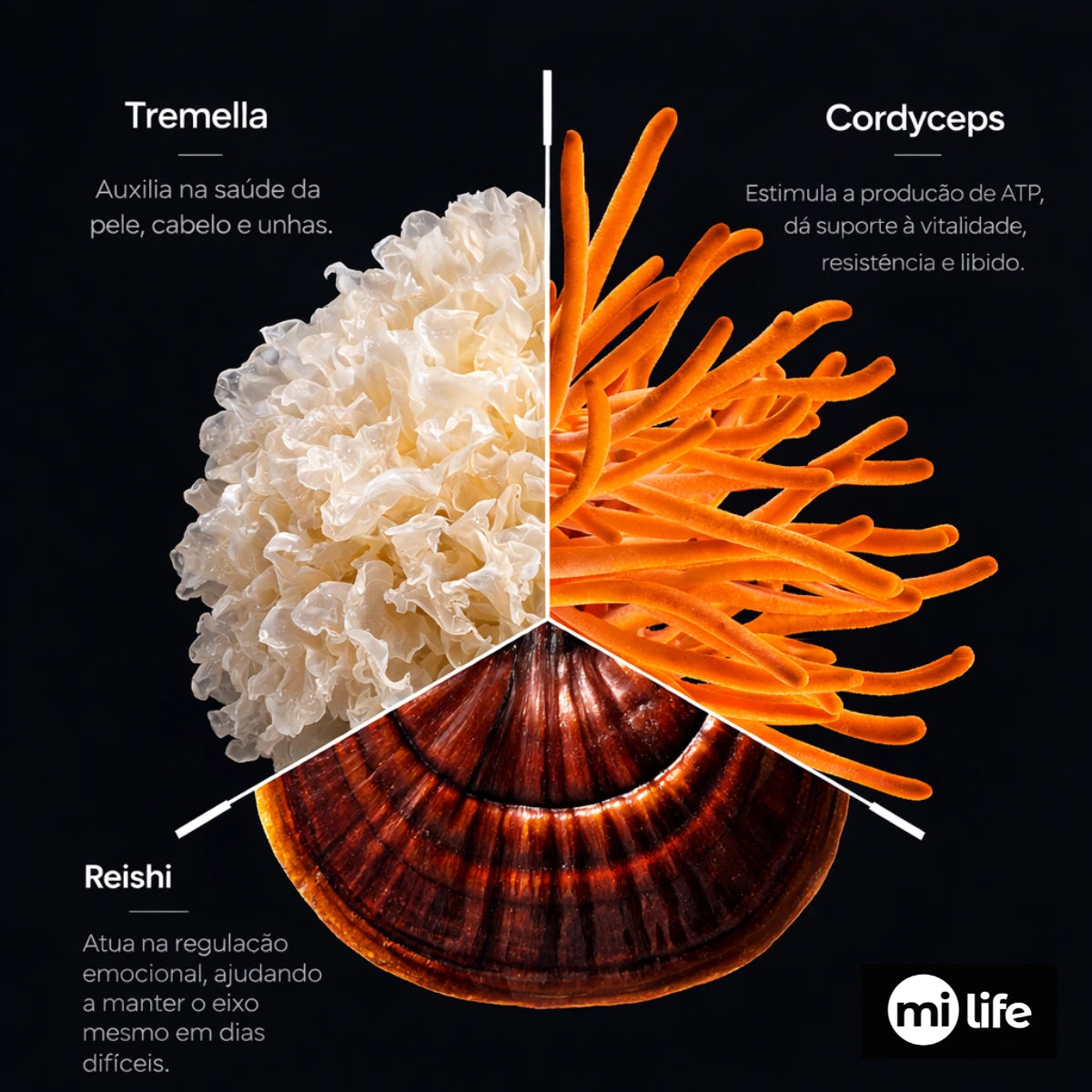 Kit Energia, Equilíbrio e Auto Cuidado | Cordyceps + Reishi + Tremella