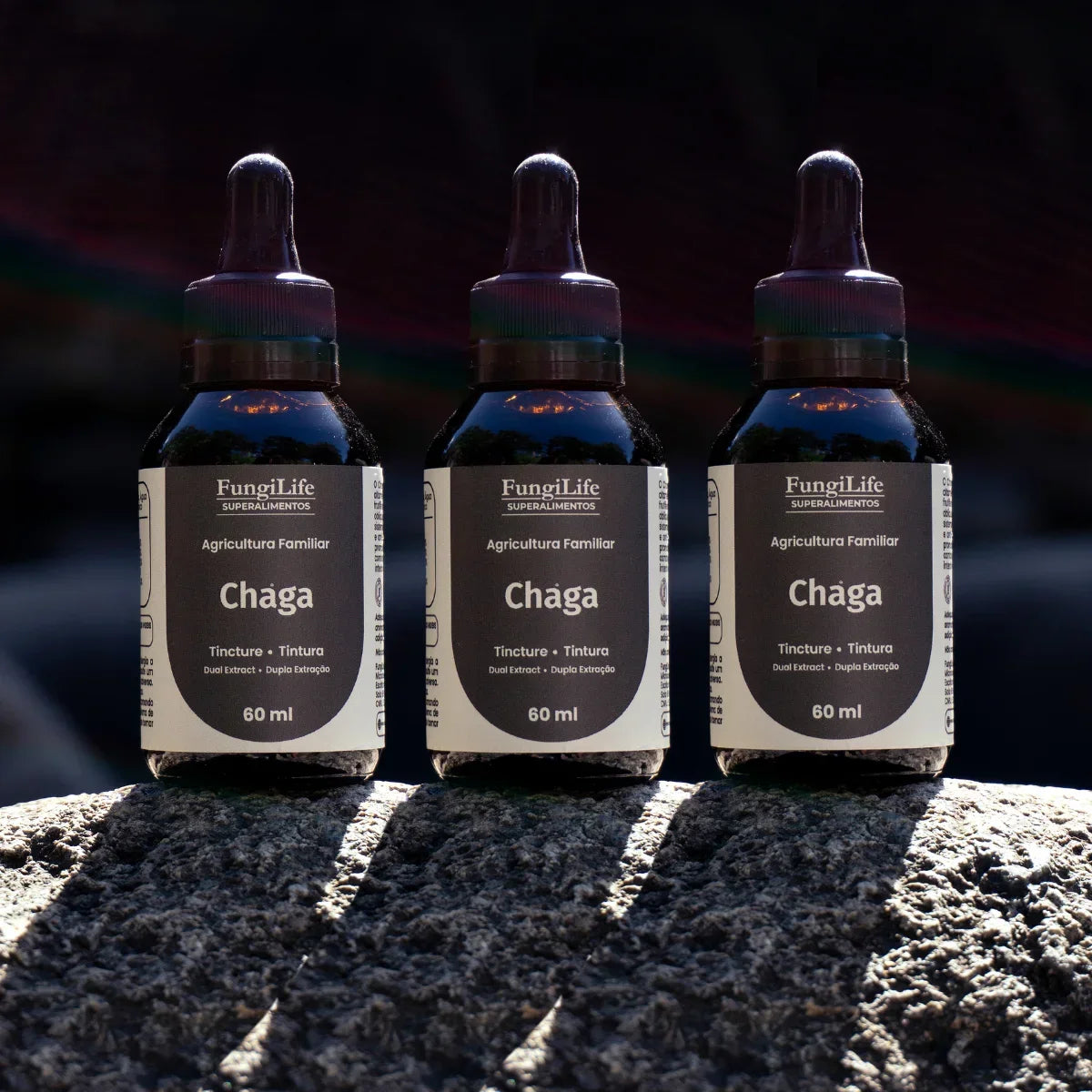 Cogumelo Chaga | Extrato Líquido 60ml