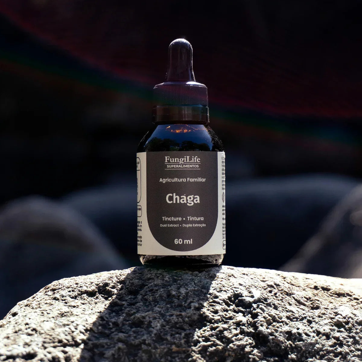 Cogumelo Chaga | Extrato Líquido 60ml