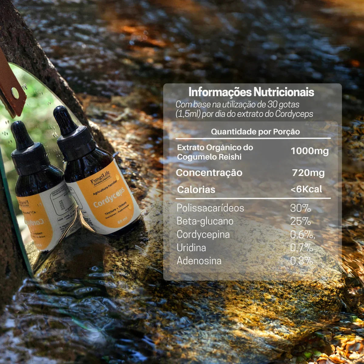 Cogumelo Cordyceps Militaris | Extrato Líquido 60ml