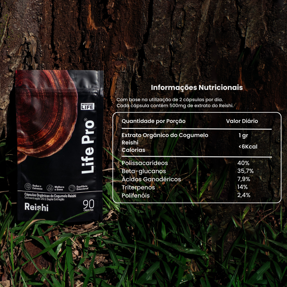 Kit Foco, Energia e Equilíbrio | Lions Mane + Cordyceps + Reishi