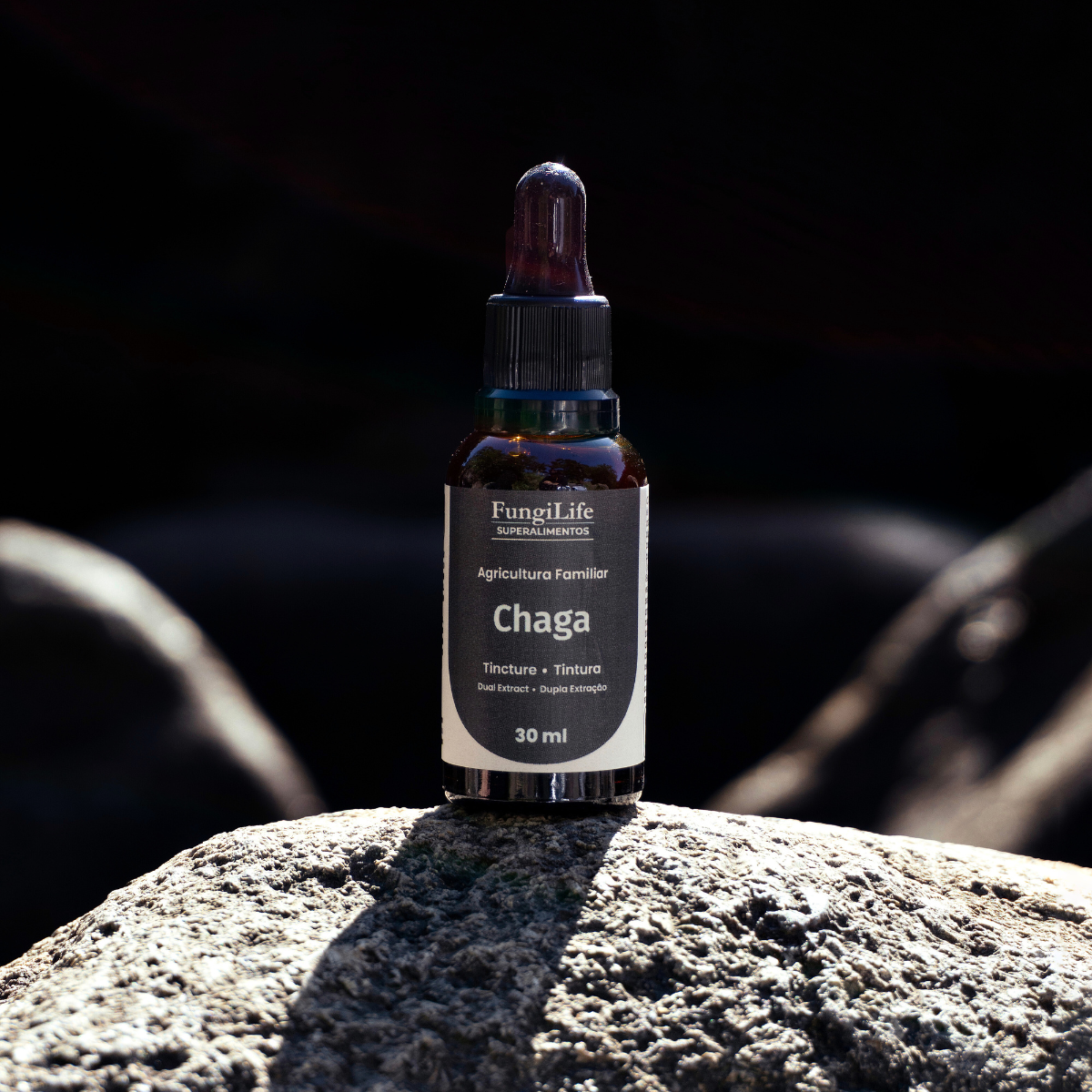 Cogumelo Chaga | Extrato Líquido 30ml