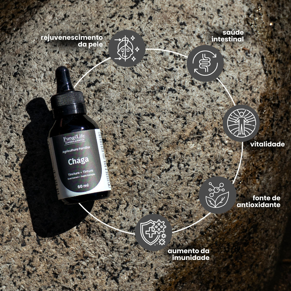 Cogumelo Chaga | Extrato Líquido 60ml