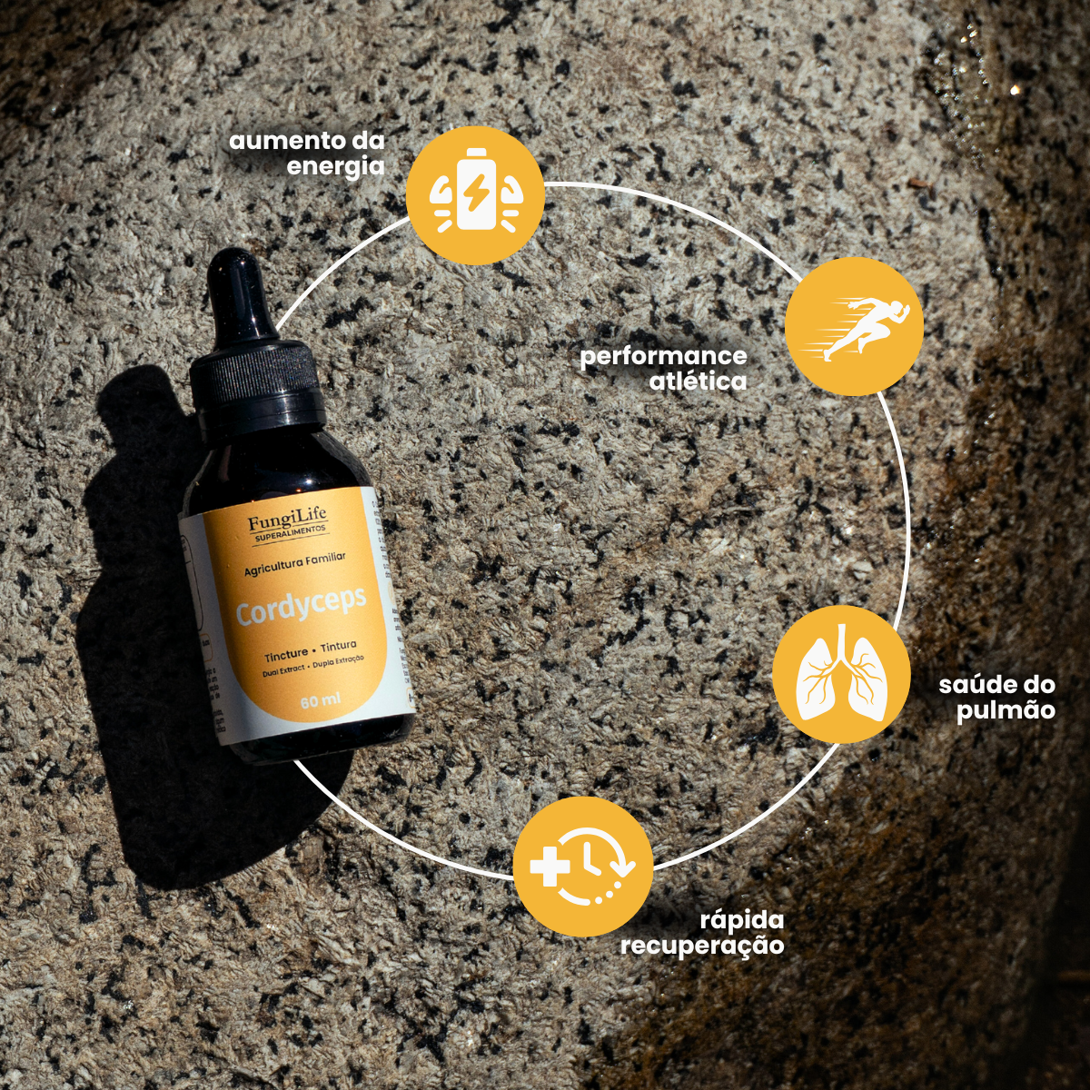 Cogumelo Cordyceps Militaris | Extrato Líquido 60ml