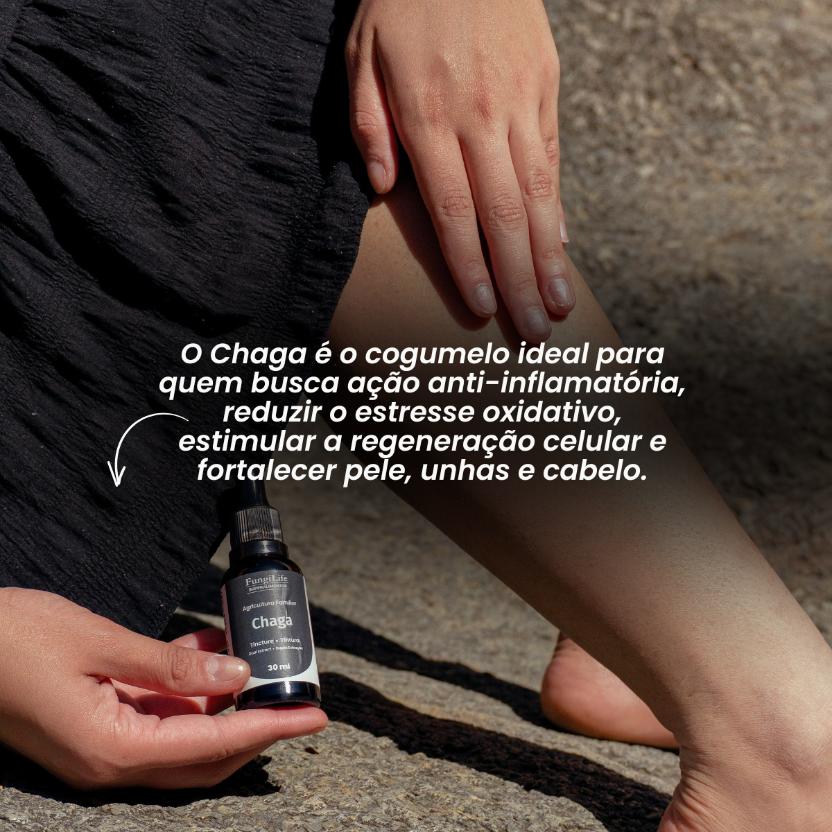 Cogumelo Chaga | Extrato Líquido 30ml