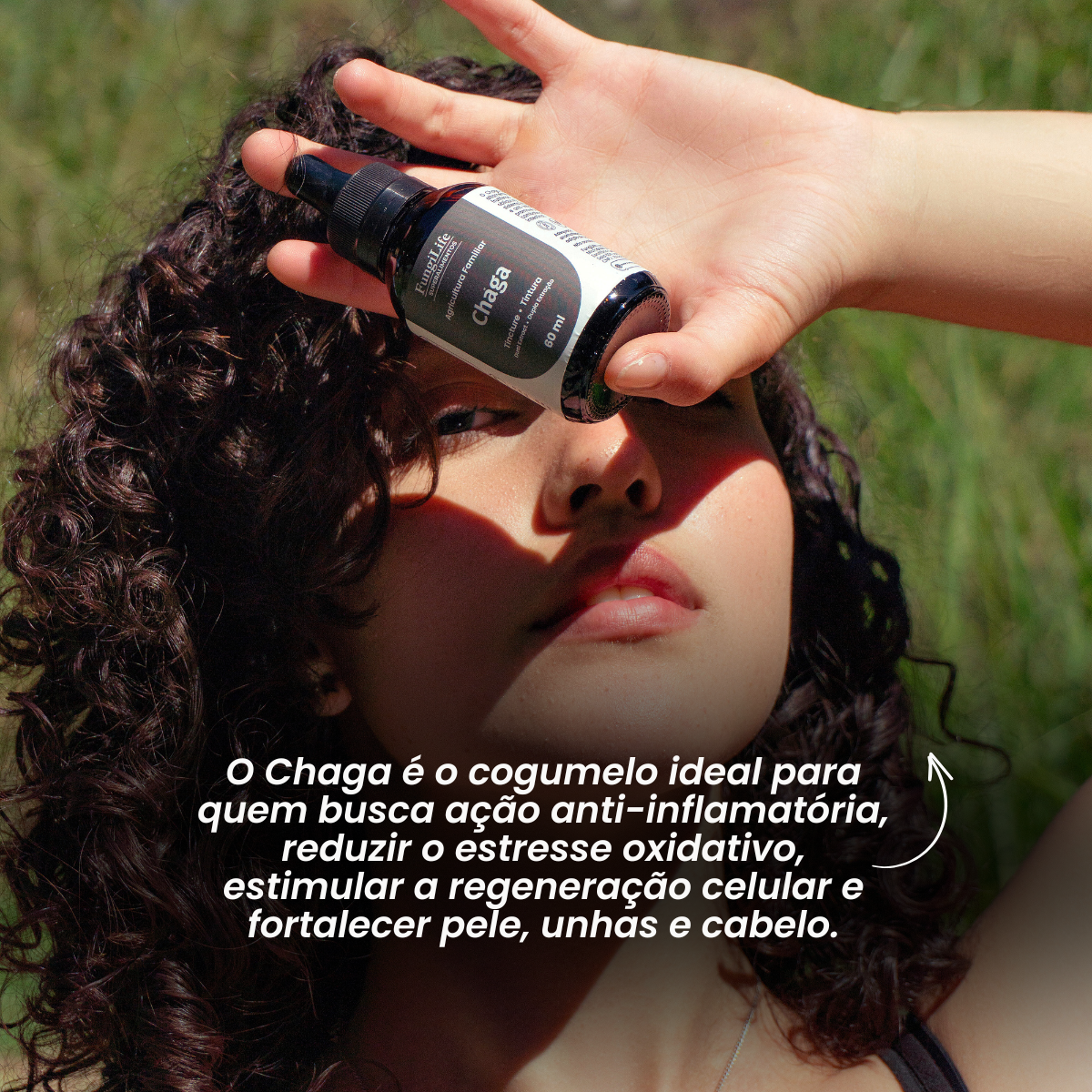 Cogumelo Chaga | Extrato Líquido 60ml