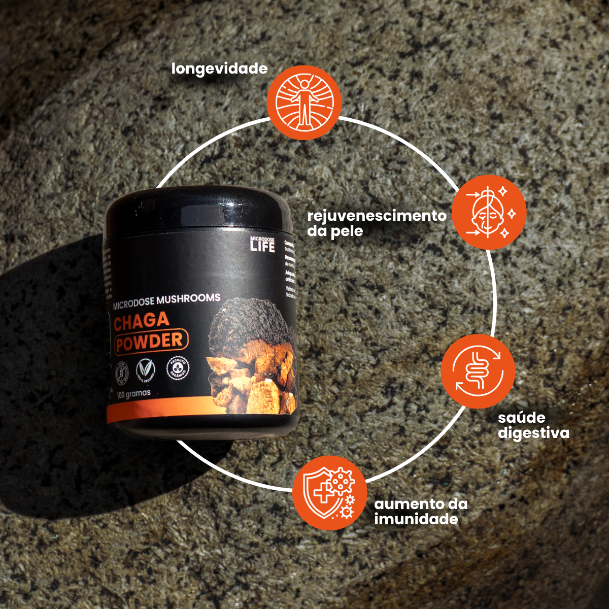 Cogumelo Chaga | Extrato em Pó 100g