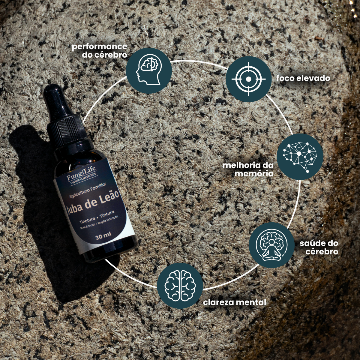 Cogumelo Juba de Leão | Extrato Líquido 30ml
