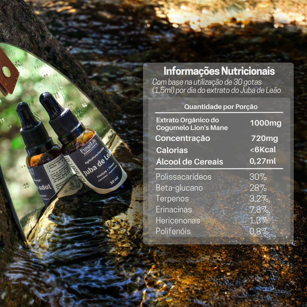 Kit Foco, Energia e Equilíbrio | Juba de Leão + Cordyceps + Reishi | Extrato Líquido 30ml