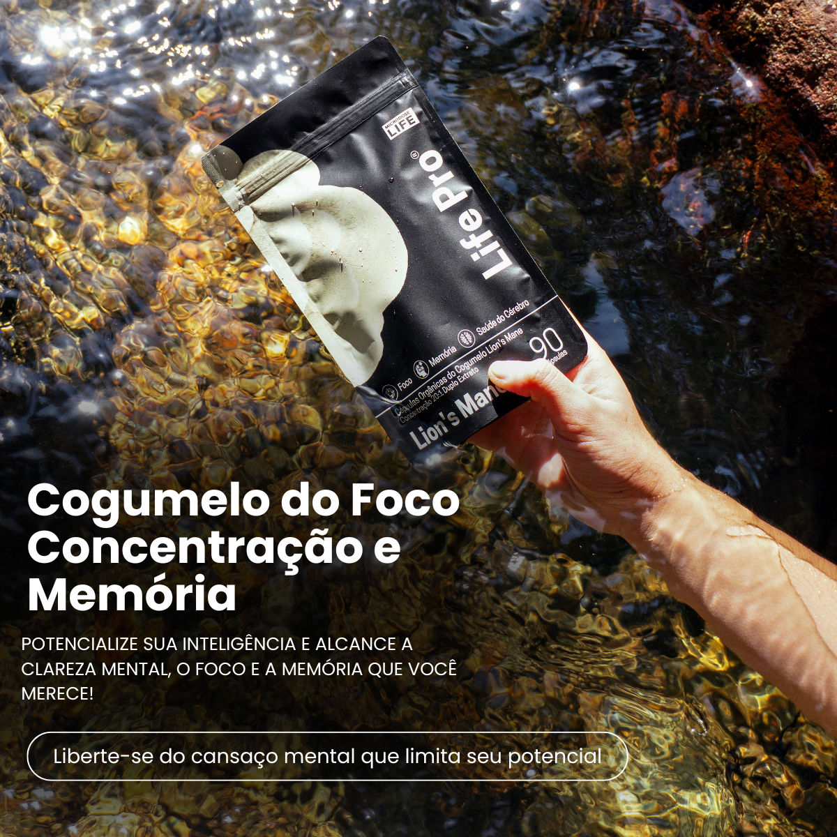 Cogumelo Lions Mane | Extrato Encapsulado 90 caps