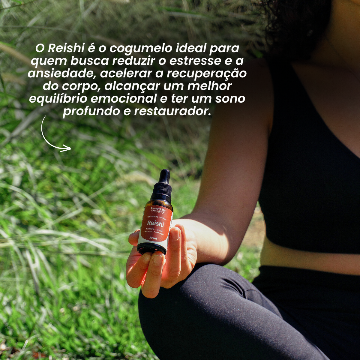 Cogumelo Reishi | Extrato Líquido 60ml