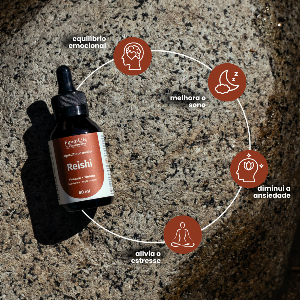 Cogumelo Reishi | Extrato Líquido 60ml