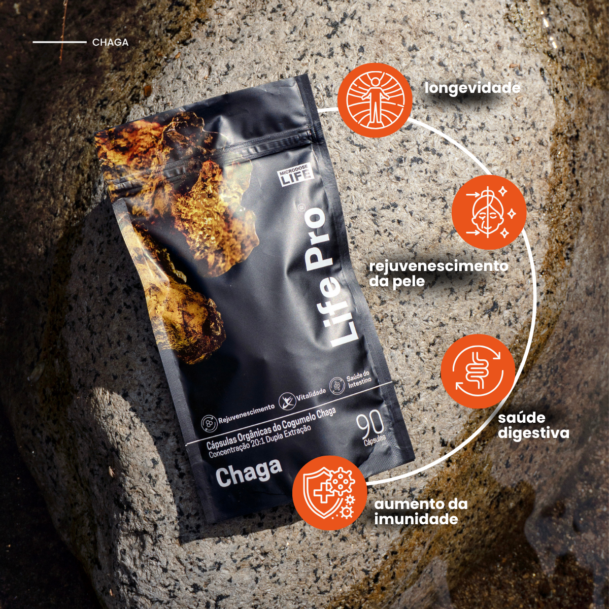 Cogumelo Chaga | Extrato Encapsulado 90 caps