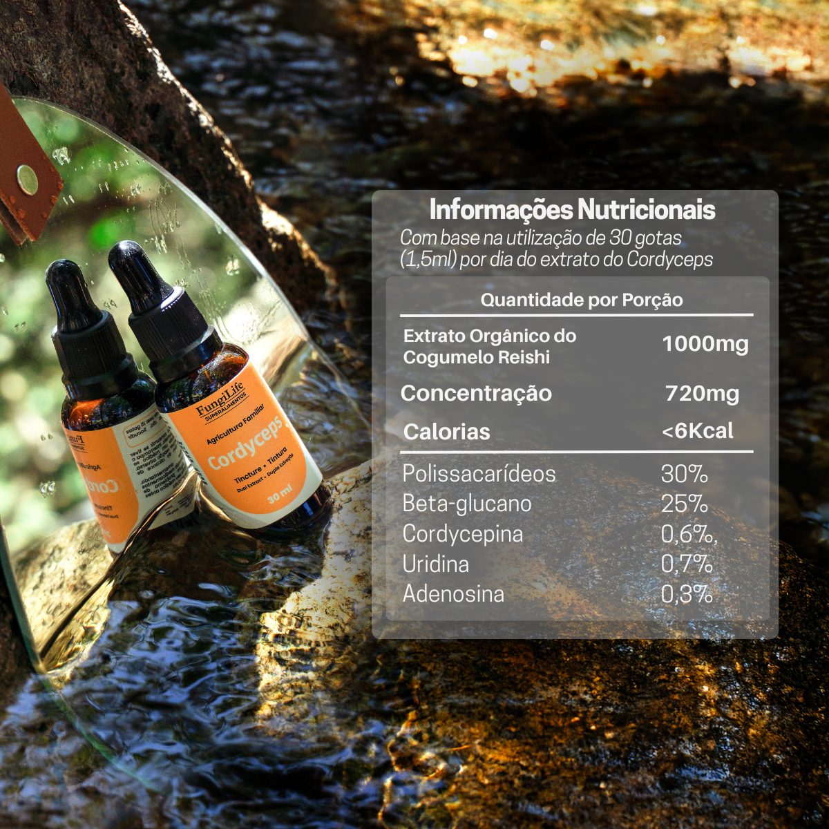Kit Foco, Energia e Equilíbrio | Juba de Leão + Cordyceps + Reishi | Extrato Líquido 30ml