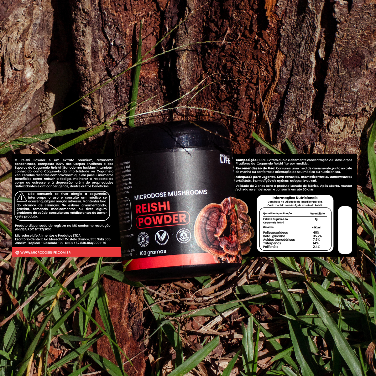 Kit Foco, Energia e Equilíbrio Lion's Mane + Cordyceps Militaris + Reishi | Extrato em Pó 100gr